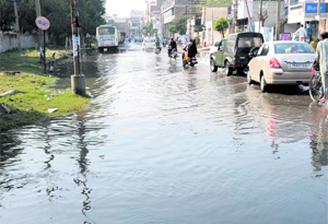 Sewage has accumulated on Power House road in Bathinda on Tuesday.