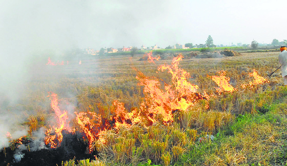 There is a need to offer easy and cost-effective solutions to farmers so that they avoid burning stubble. Farmers take the easy way out due to the lack of awareness about options.