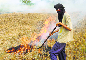 The practice causes many respiratory ailments to those in the vicinity