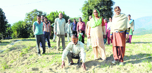 A farmer inspects his damaged crop in Mandi on Tuesday. 