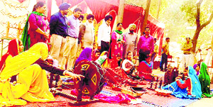 Visitors take a look at the cultural milieu at Government Senior Secondary School in Guram near Ahmedgarh