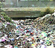 An open dump near the cremation ground. 