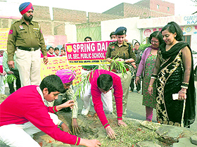 Students of Spring Dale Public School plant saplings in Ludhiana on Wednesday. 
