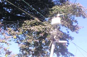 Danger in the air: A high-tension wire running through oak trees poses threat to residents of Landour Bazaar and those at the Civil Hospital in Mussoorie