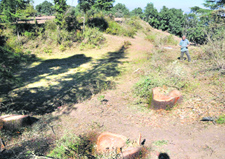 Stumps of trees cut illegally on a private land near the Tara Devi temple in Shimla on Thursday.