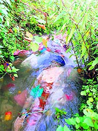 Garbage lying dumped in the water channel at Bhawarna. 