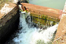Water leaks from the Netewala headworks of the Gang canal. 