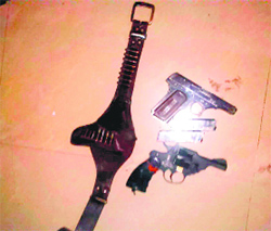 Pistols and cartridges seized from Satlok Ashram in Barwala on Monday.