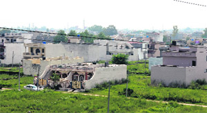Illegal colonies in Jalandhar. 