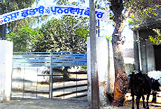 The drug rehabilitation centre in Ferozepur wears a deserted look