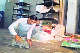 A revenue official feeds a cat in Jind