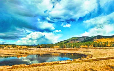 The Aspen wetland 